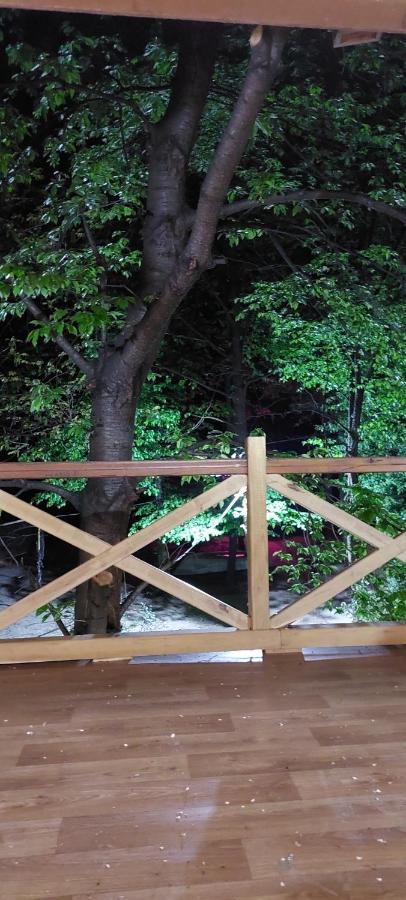 فيلا Ribarev San أوفجار بانيا المظهر الخارجي الصورة