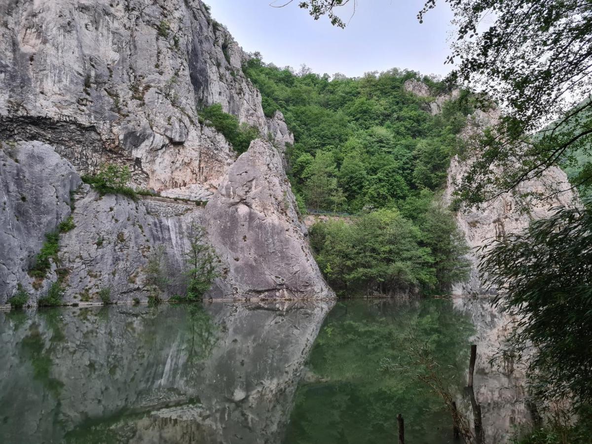 فيلا Ribarev San أوفجار بانيا المظهر الخارجي الصورة